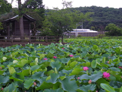 池の神社