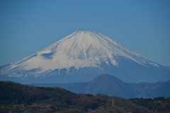 富士山