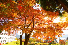 秋のホテル庭園