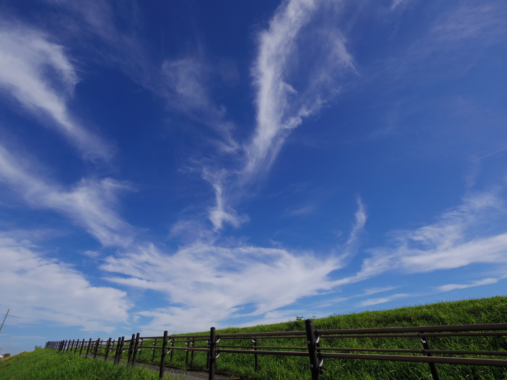 秋空