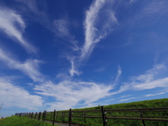秋空