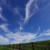 秋空