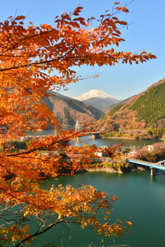 紅葉と富士と湖と