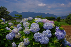 里山の風景