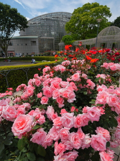 ばらの公園