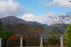 富士山と秋