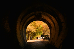 トンネルの向こうの秋