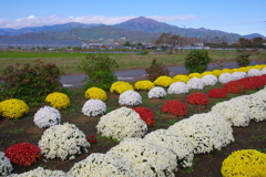 里山の秋