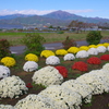 里山の秋