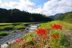 河岸の秋