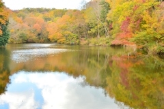 湖の秋