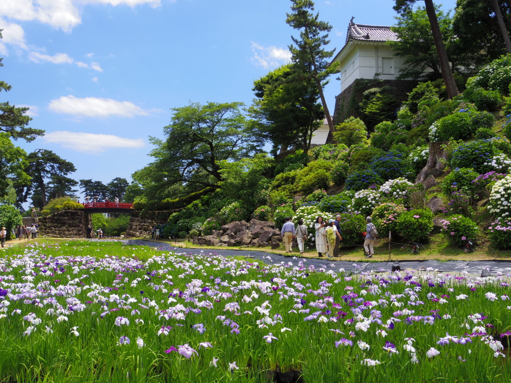城下の彩り