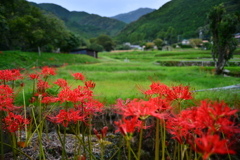 里の秋