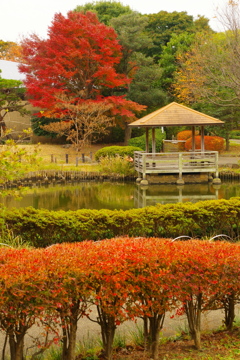 東屋