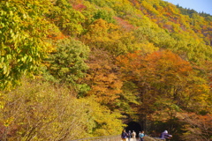 初秋の山
