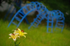 公園に咲く