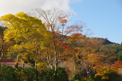 秋のよそおい
