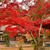秋の寺