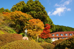 ホテルの紅葉と銅像