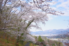 桜の街