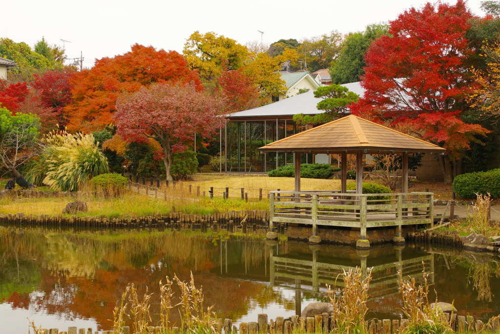 池の紅葉