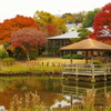 池の紅葉
