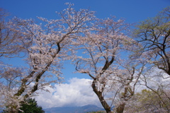 春空
