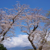 春空