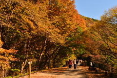 秋の峠