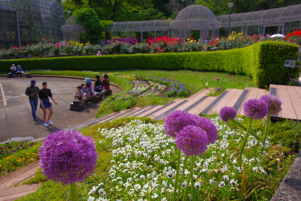 公園の風景