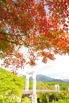 紅葉の向こう
