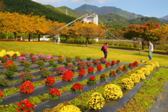 秋の公園