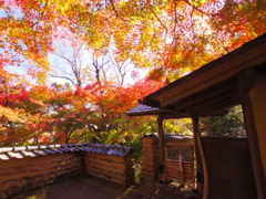 あき