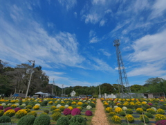 秋空の下の彩り
