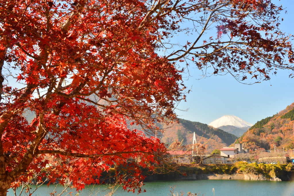 晩秋の丹沢湖と富士