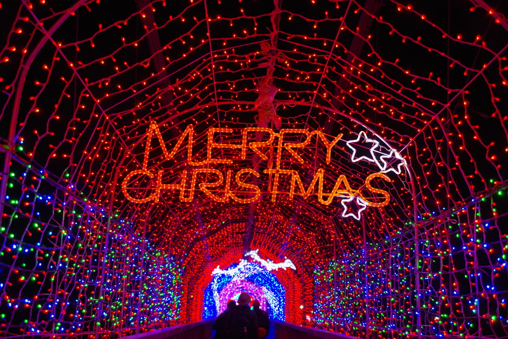 クリスマスの彩り