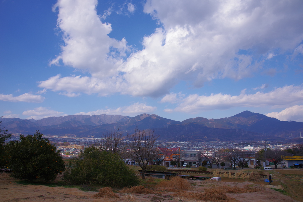 里の風景