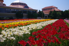 彩りの公園