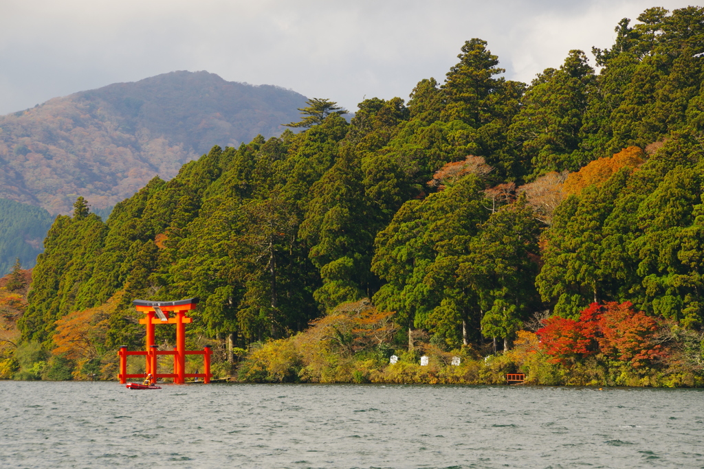 湖畔の色づき