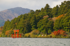 湖畔の色づき