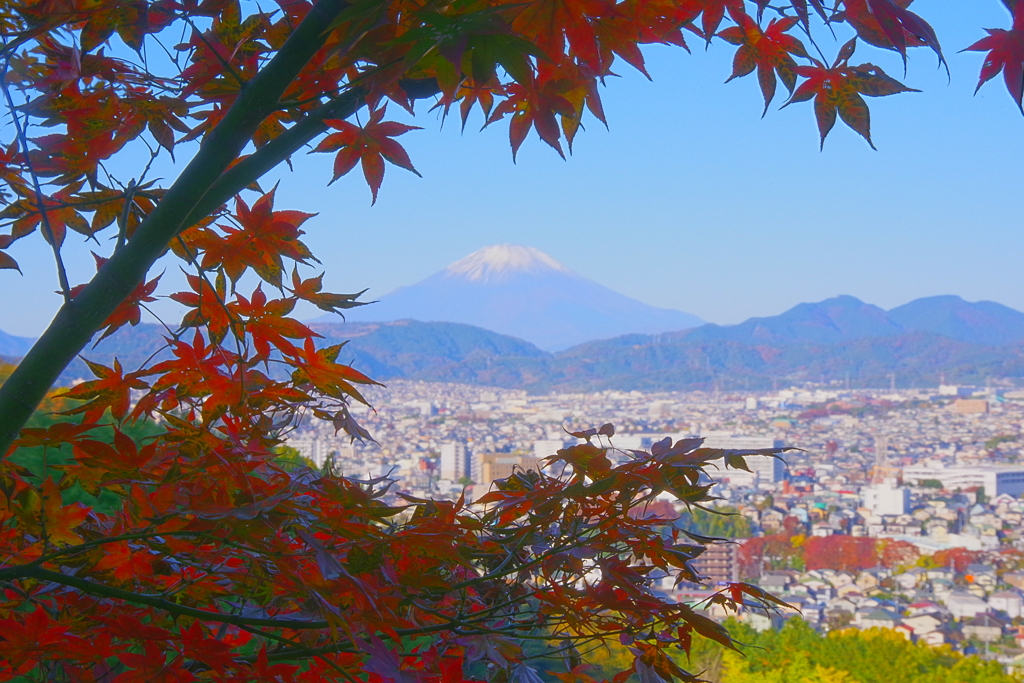 紅葉のむこうの富士