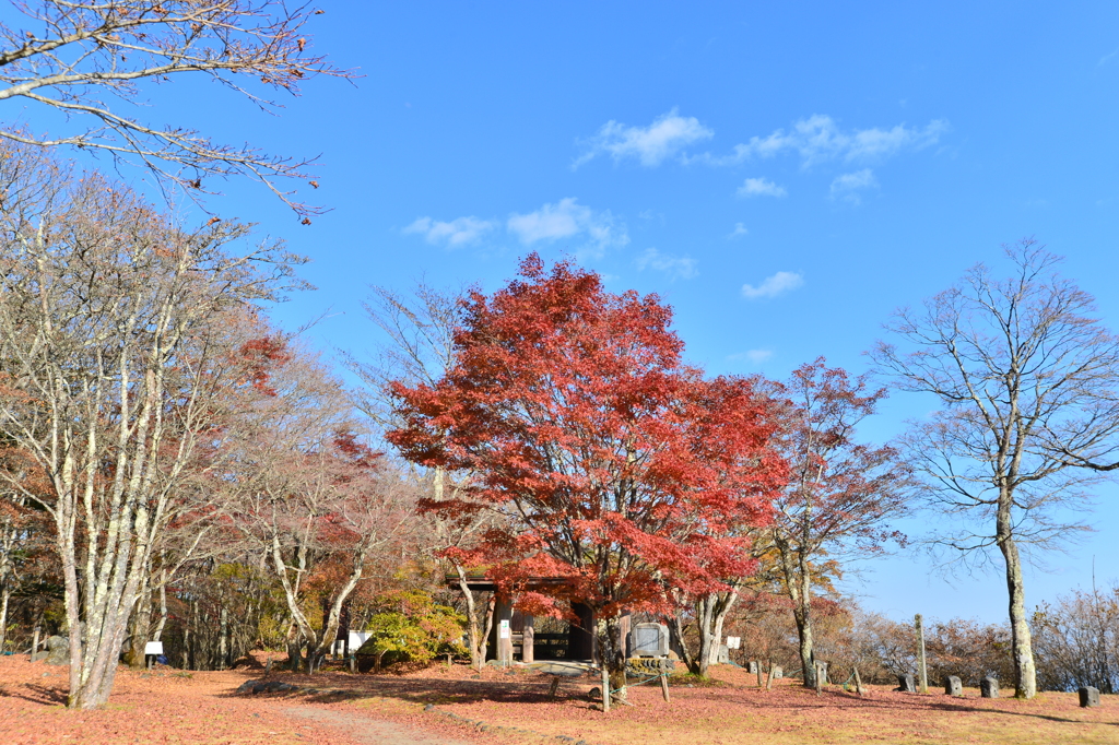 峠の紅葉
