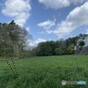 新緑の景色