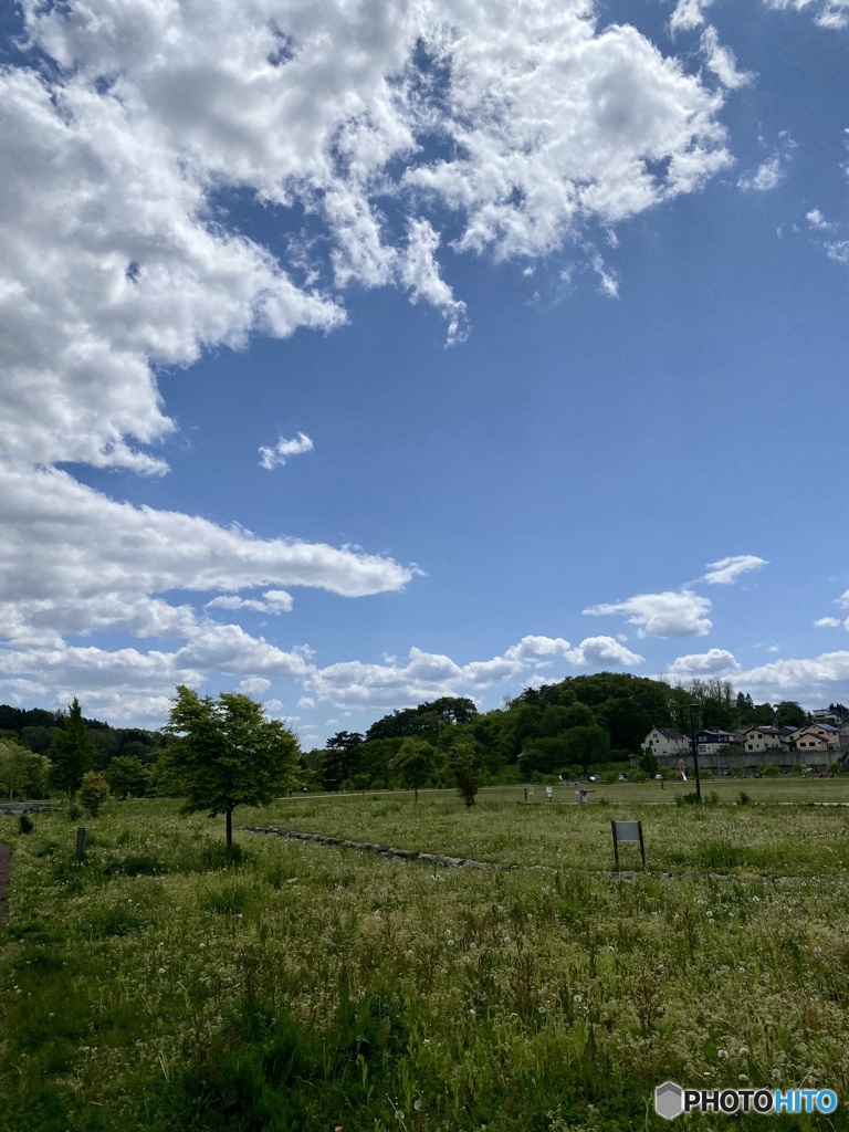 雲とみどり