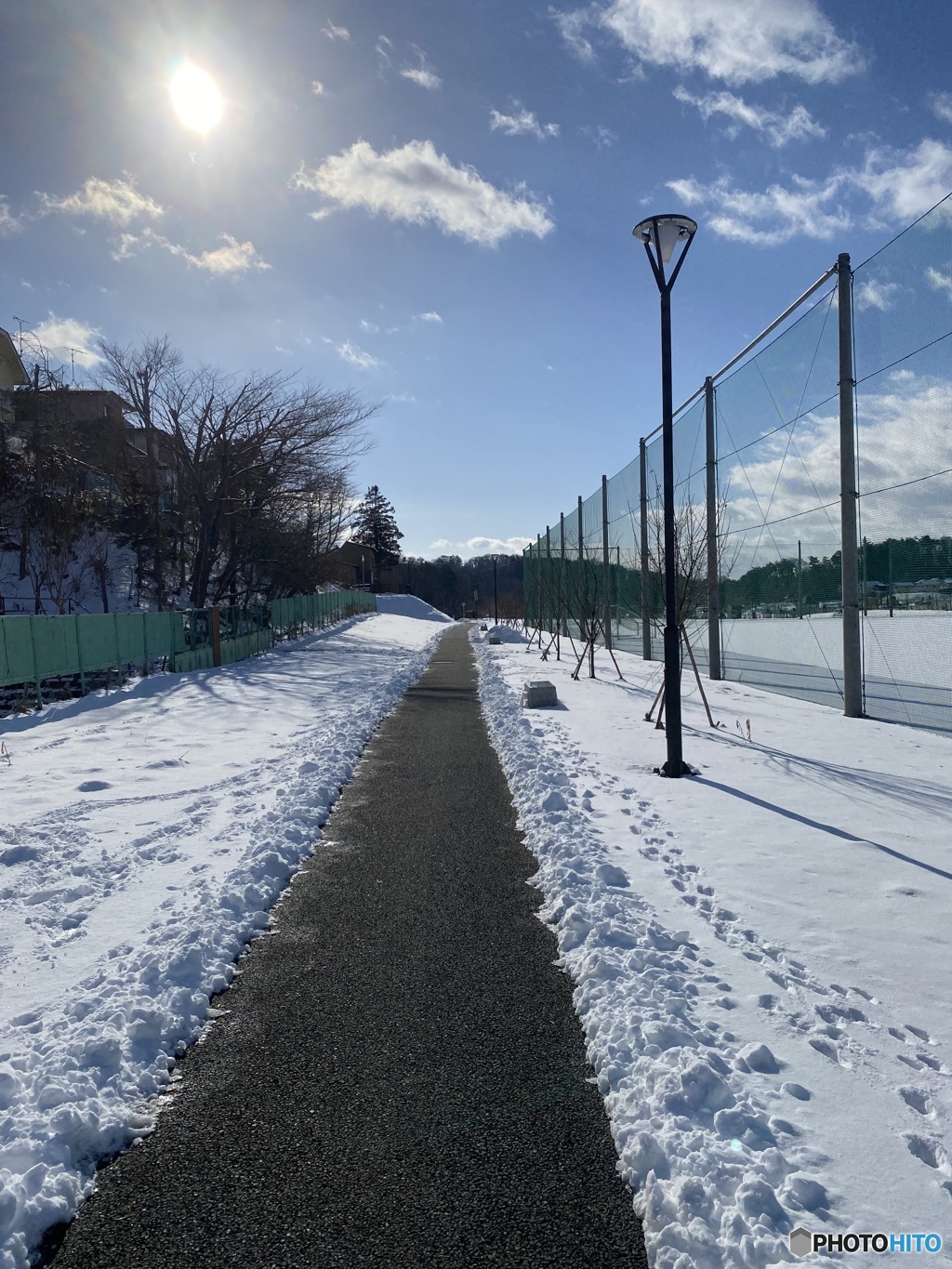 冬の散歩道