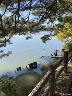 高松の池