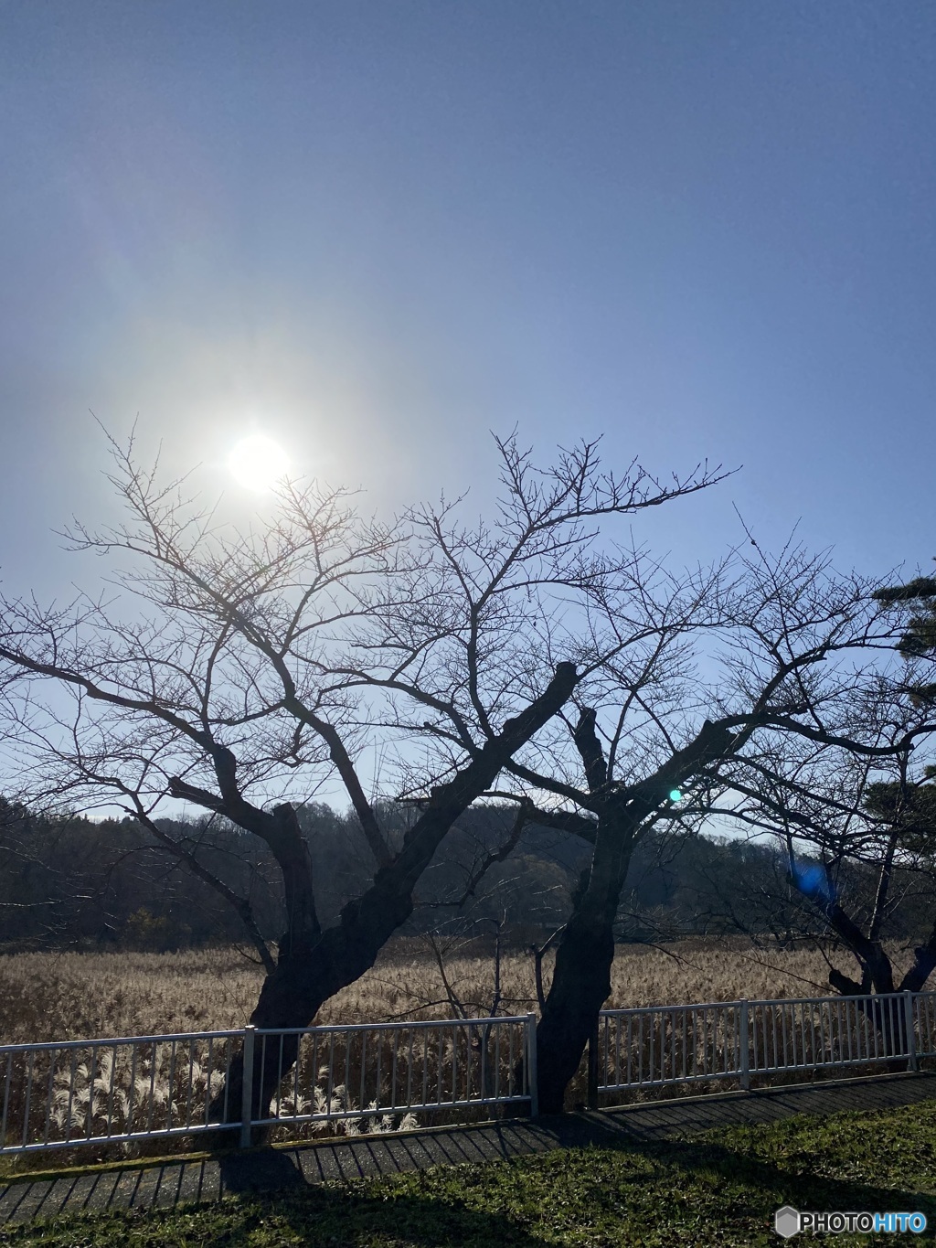夕暮れ