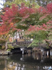 紅葉に染まる池