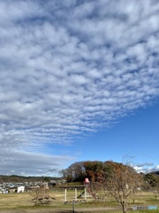 雲の芸術