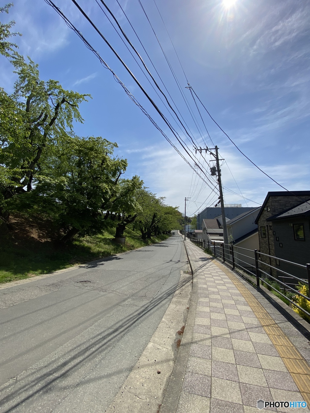 ある散歩道